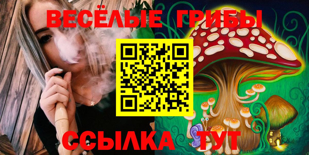 Галлюциногенные грибы мицелий  цена наркотик  Славгород  Вход с VPN 